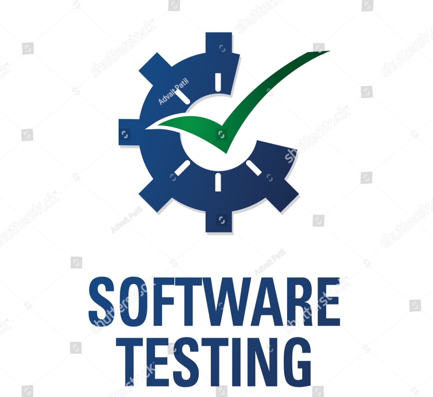 Software Testing